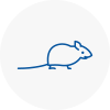 Mice Exterminators In Thurrock